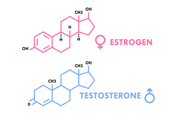 hoocmon-testosterone